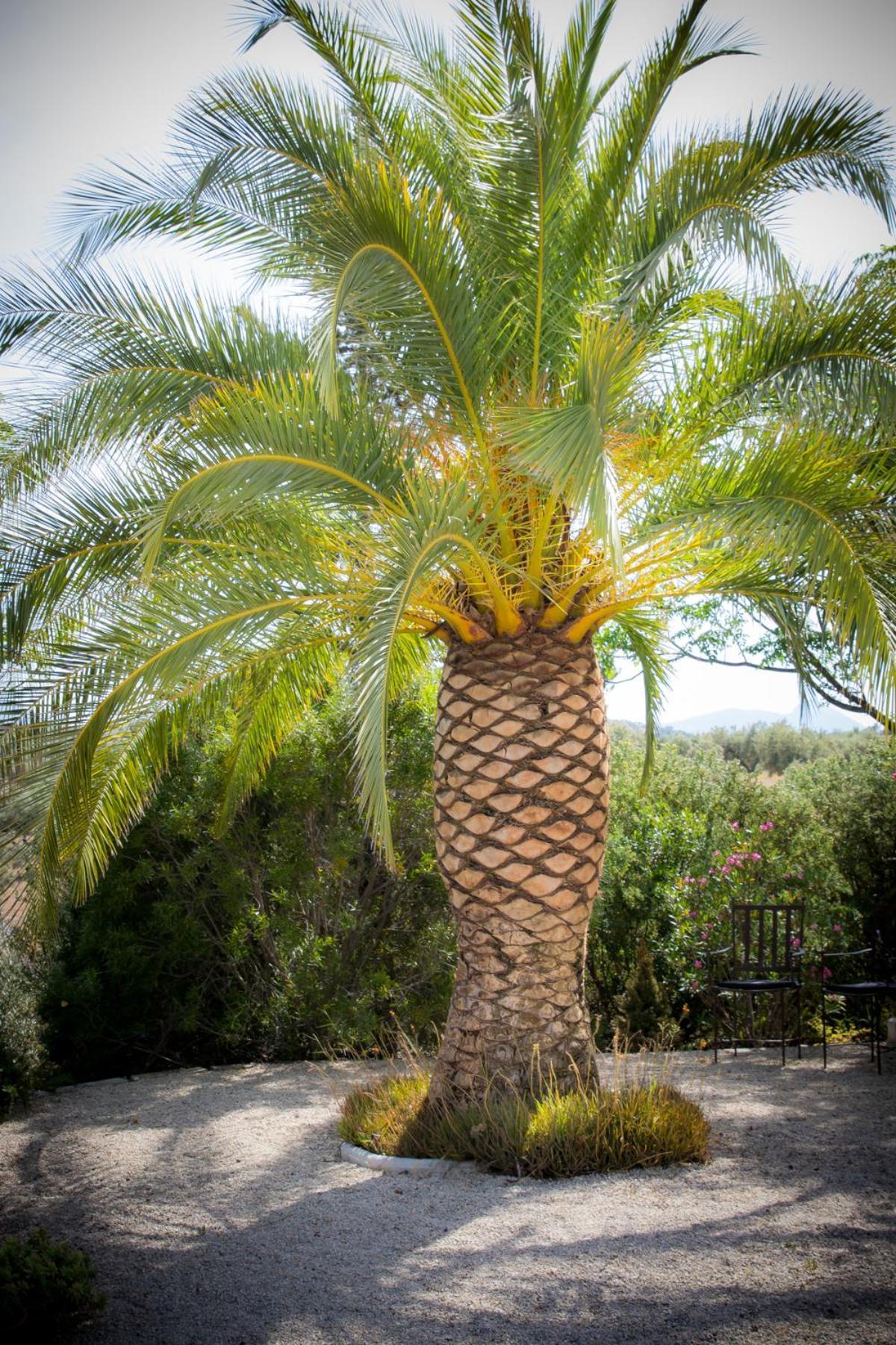 普里埃格·德·科尔多巴 Hacienda El Tarajal酒店 外观 照片